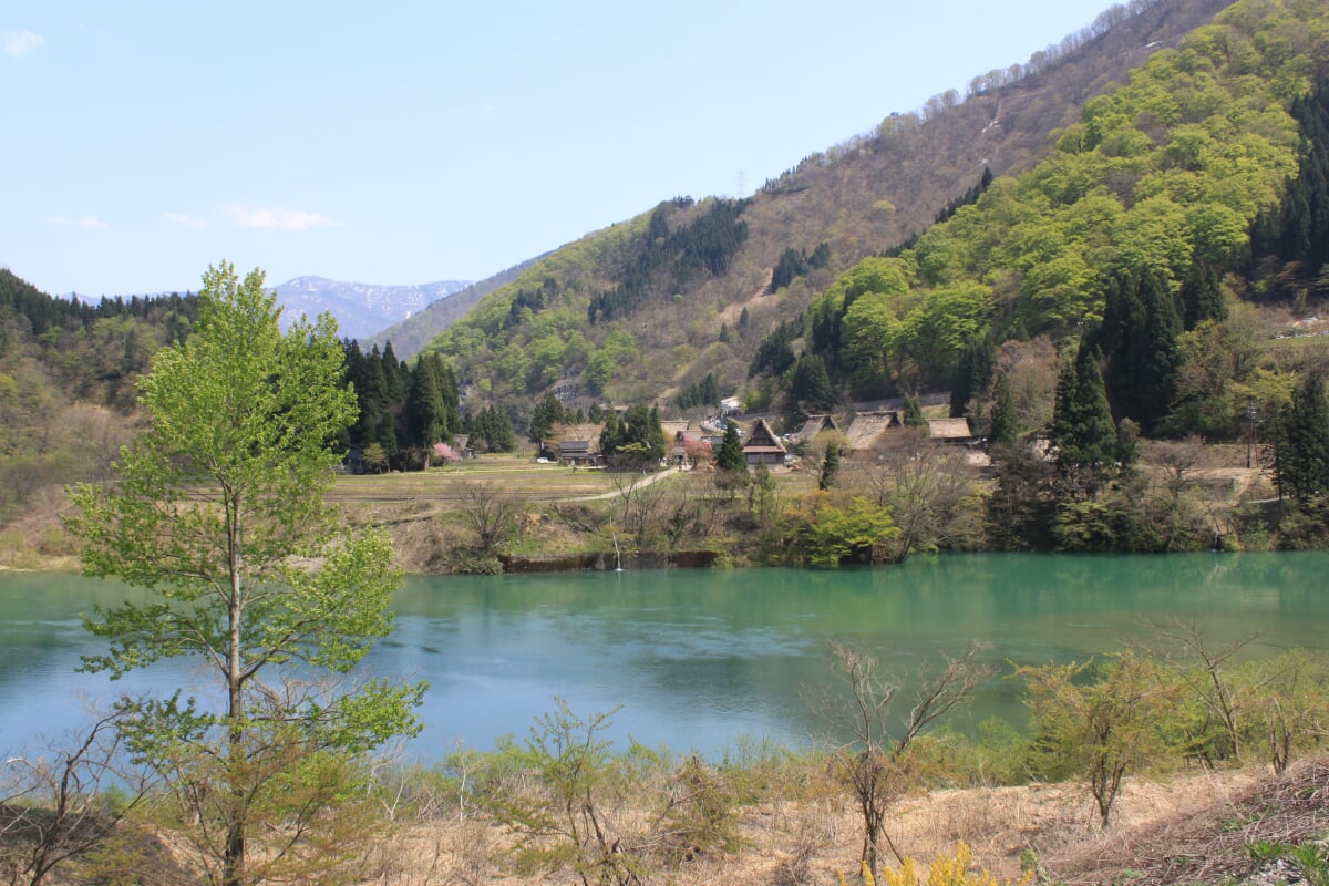 世界遺産 菅沼合掌造り集落の写真6