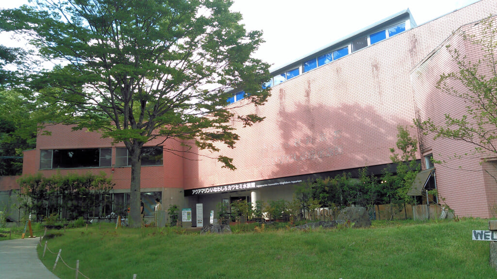 アクアマリンいなわしろカワセミ水族館の写真1