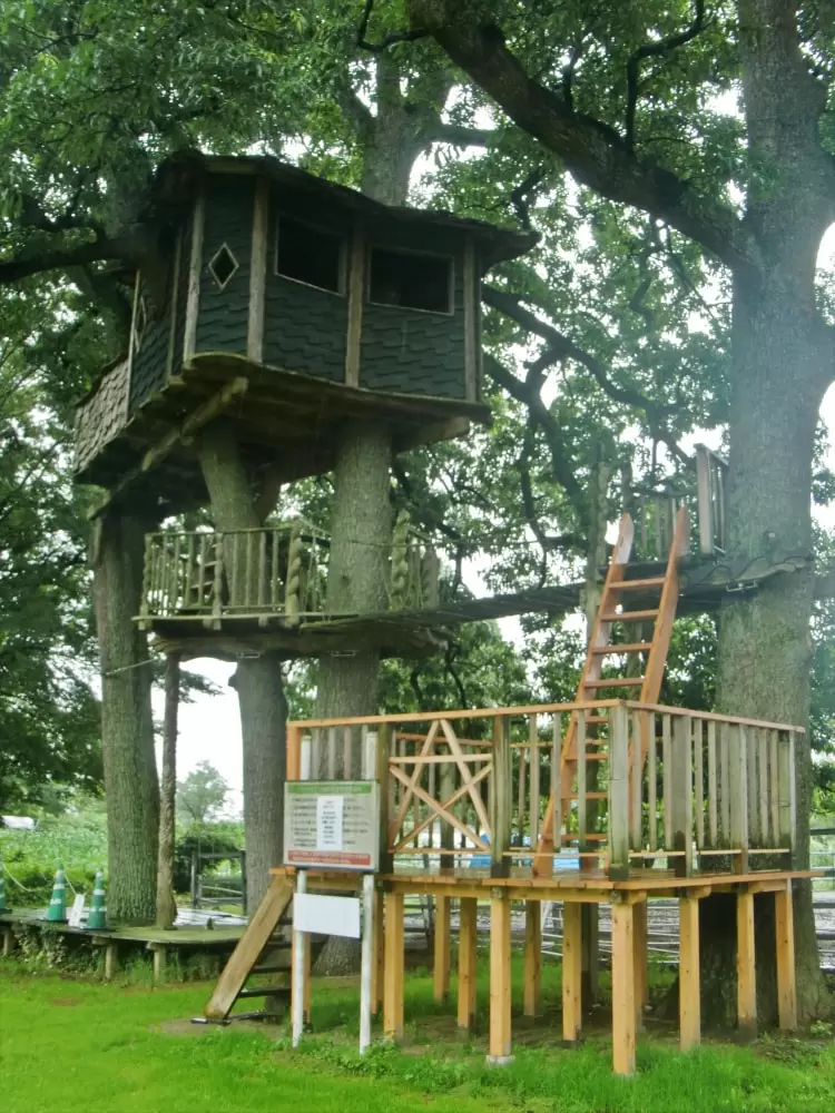 岩瀬牧場の写真1