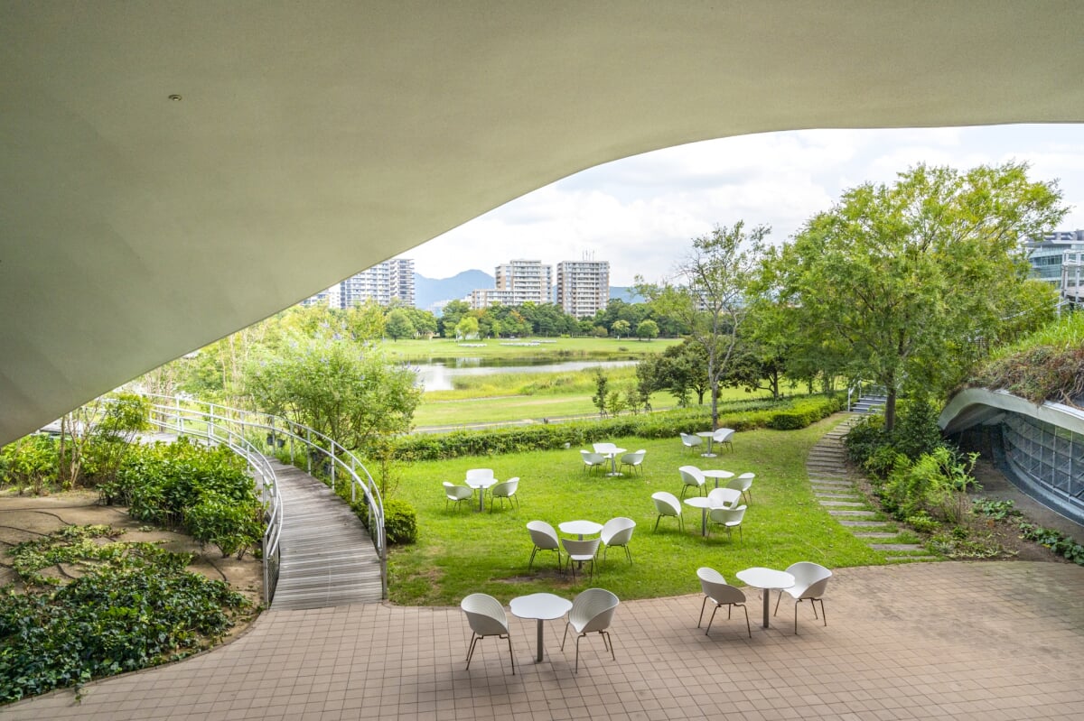 アイランドシティ中央公園の写真15