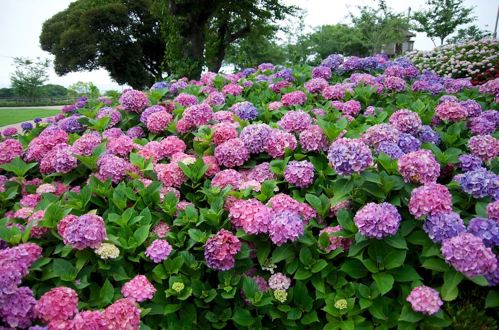 高塔山公園の写真2