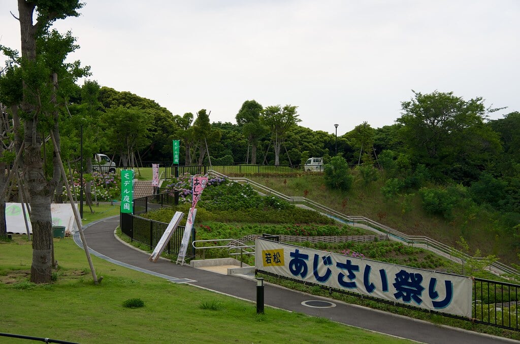 高塔山公園の写真3