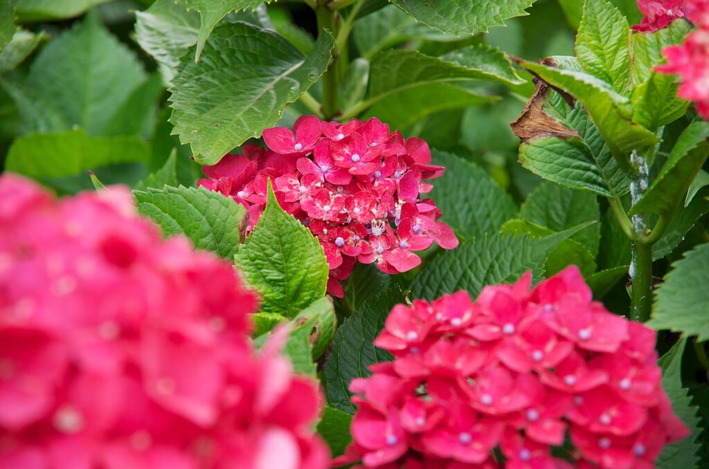 高塔山公園の写真4