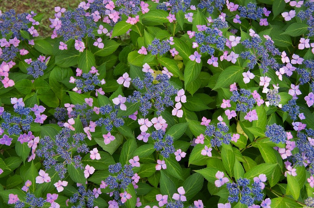 高塔山公園の写真5