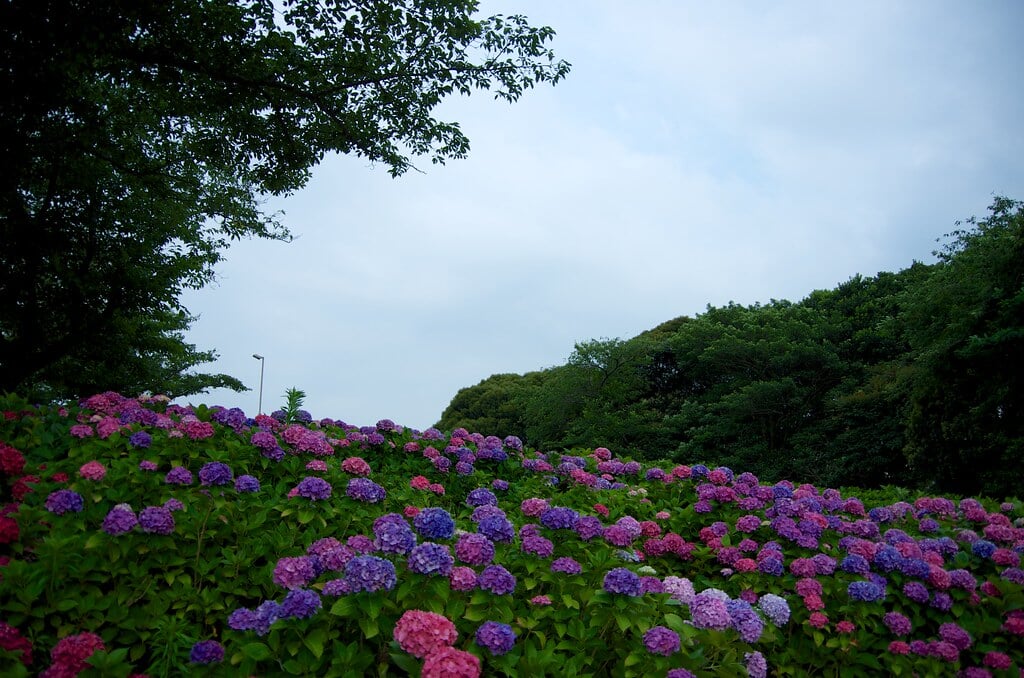 高塔山公園の写真7