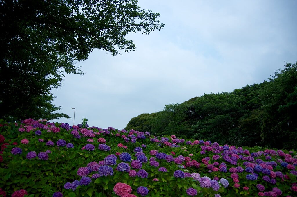 高塔山公園の写真9