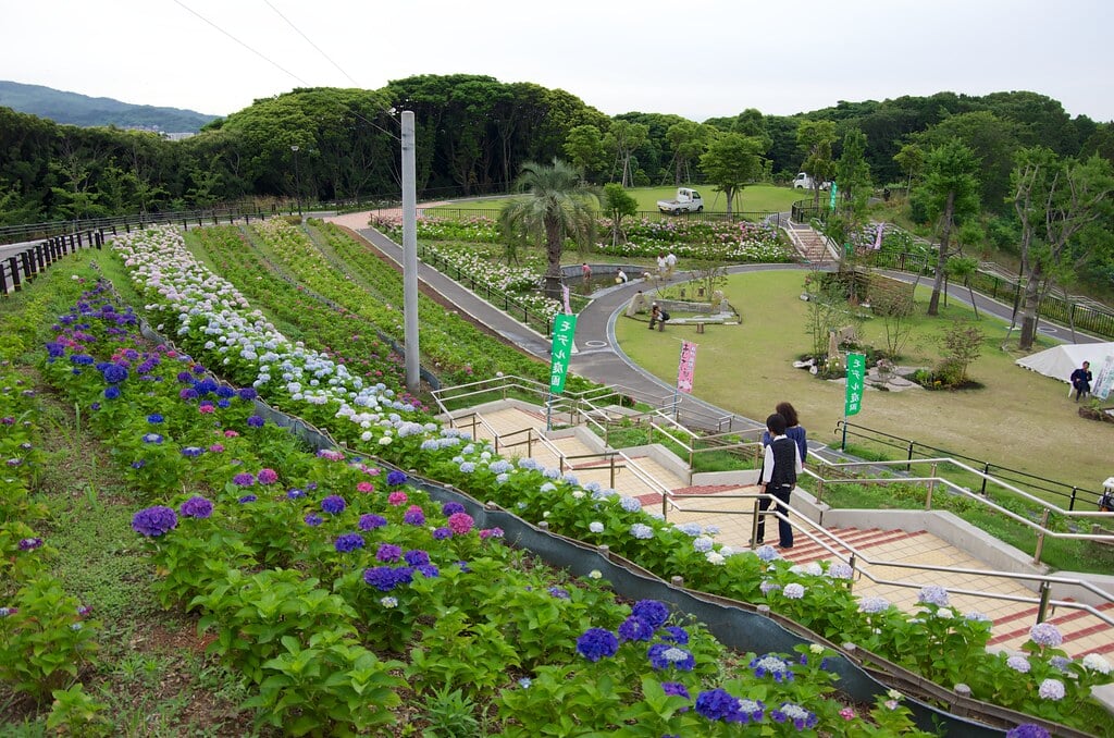 高塔山公園の写真10
