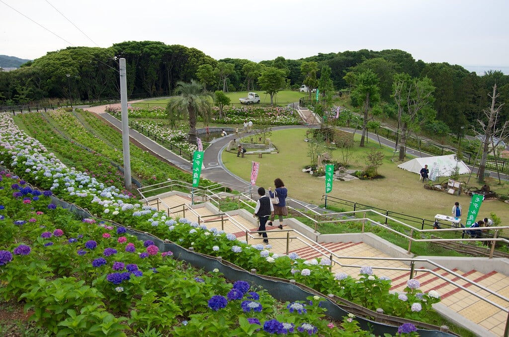 高塔山公園の写真1