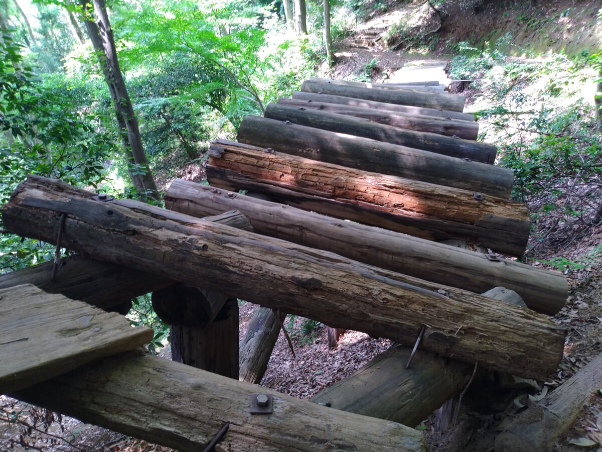 東丹沢グリーンパークの写真2