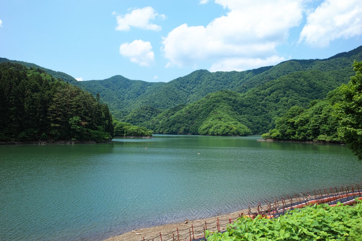 二子島森林公園・キャンプ場の写真1