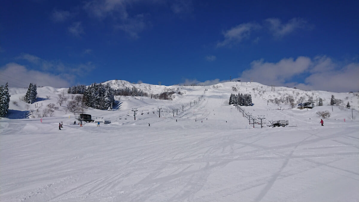 ムイカスノーリゾートの写真2