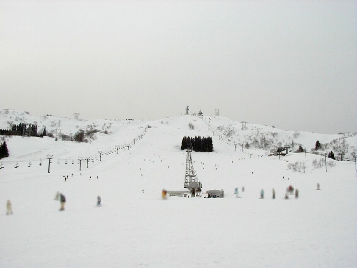 ムイカスノーリゾートの写真3