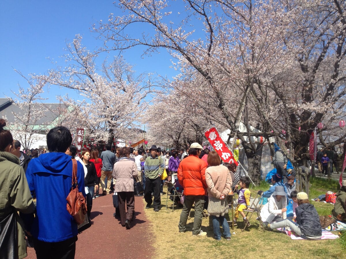 清洲公園の写真5