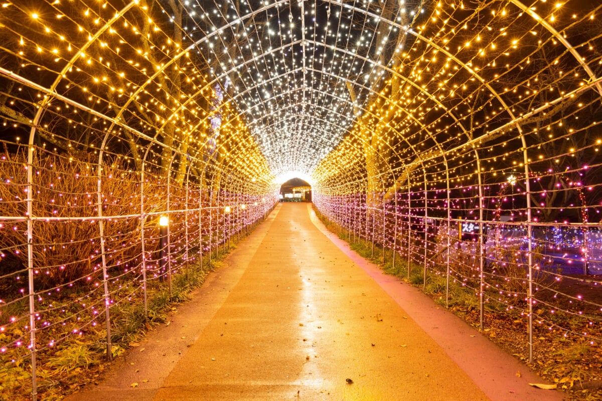 船岡城址公園の写真9