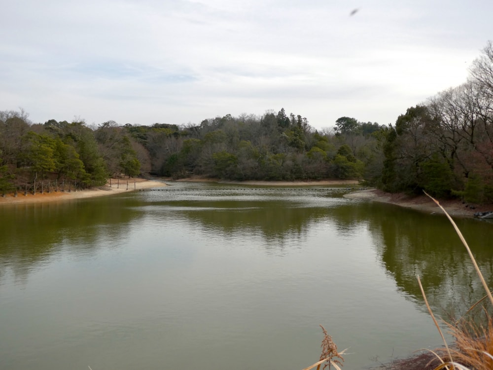 愛知県森林公園の写真10