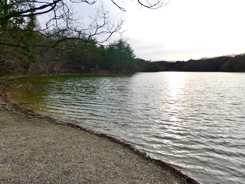 愛知県森林公園の写真11