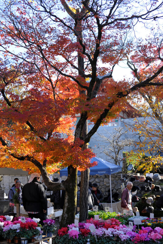 八事山興正寺の写真1
