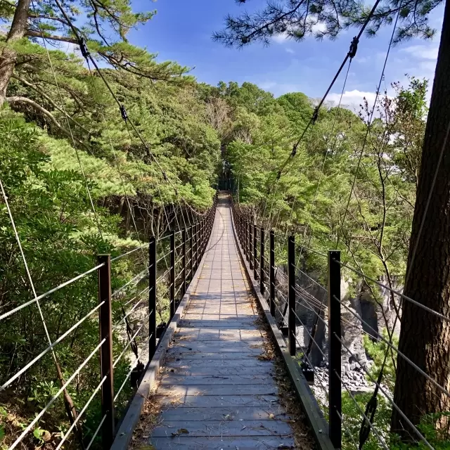 橋立吊橋の写真1