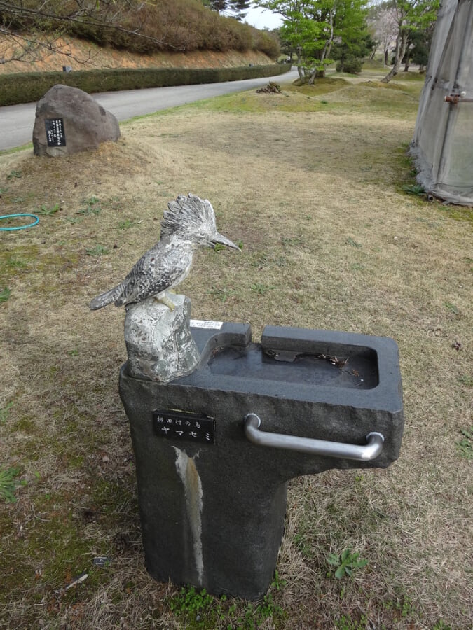 柳田植物公園の写真5