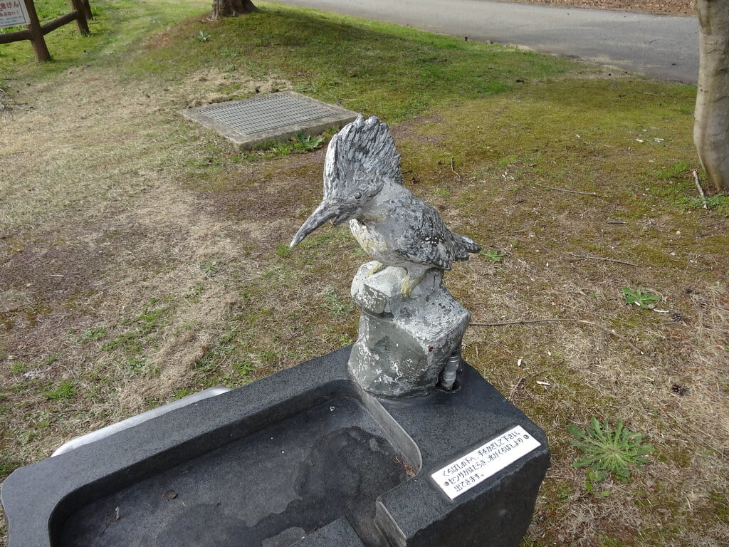 柳田植物公園の写真6