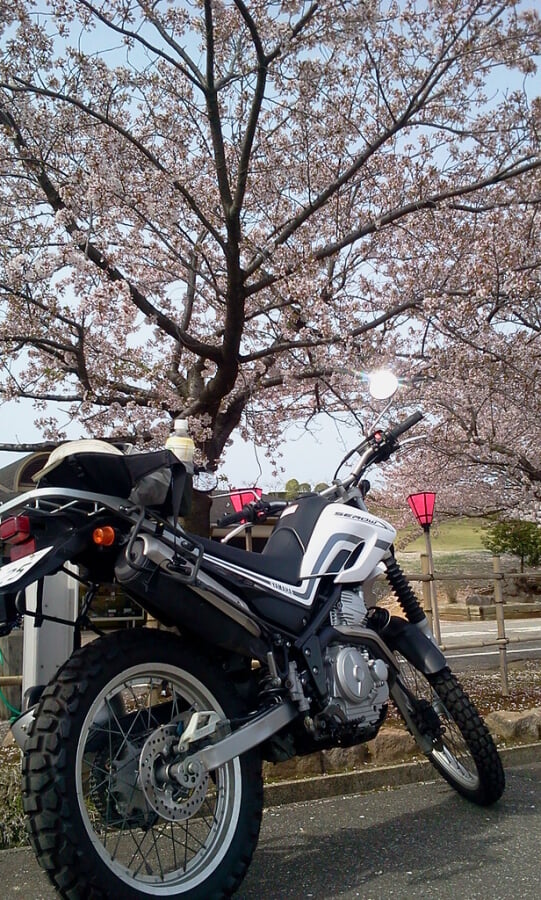 柳田植物公園の写真10