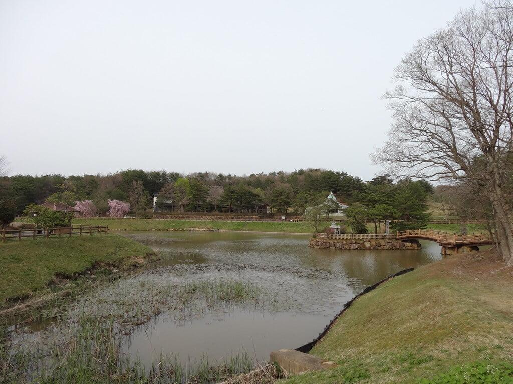 柳田植物公園の写真14
