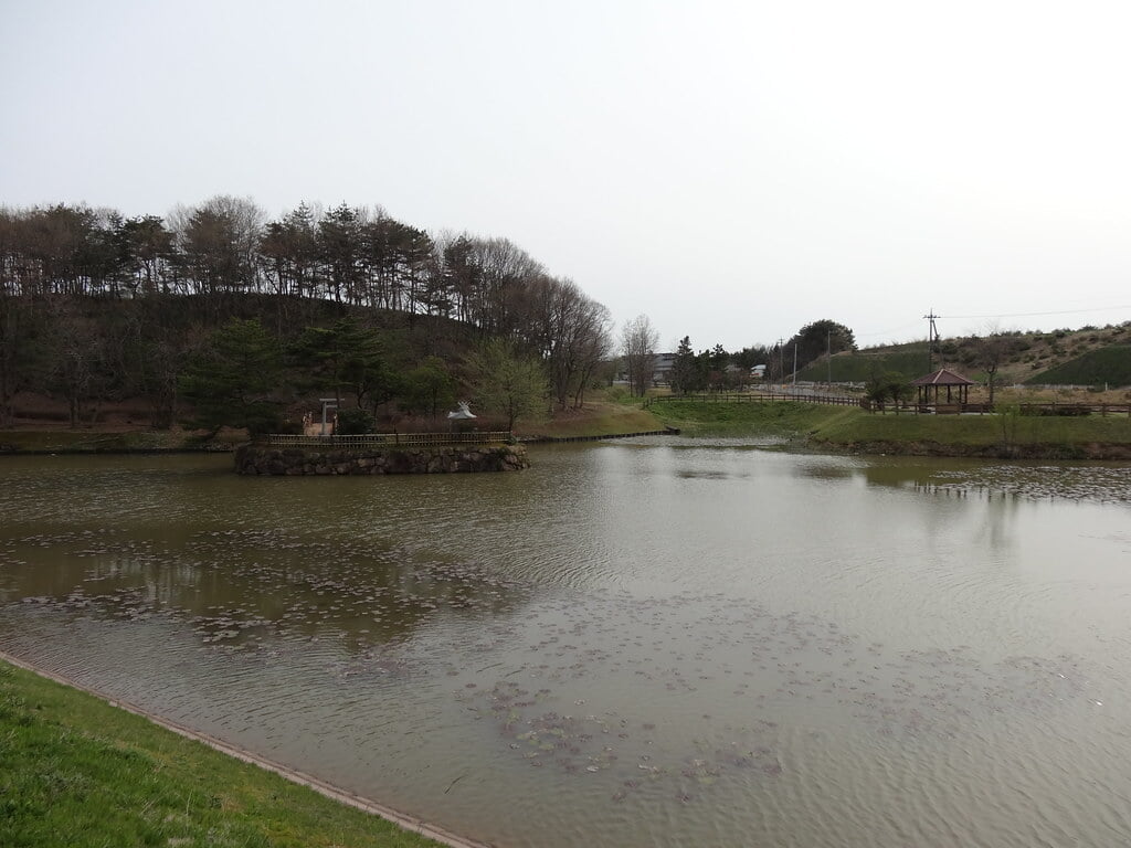 柳田植物公園の写真15