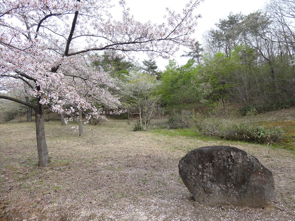 柳田植物公園の写真18