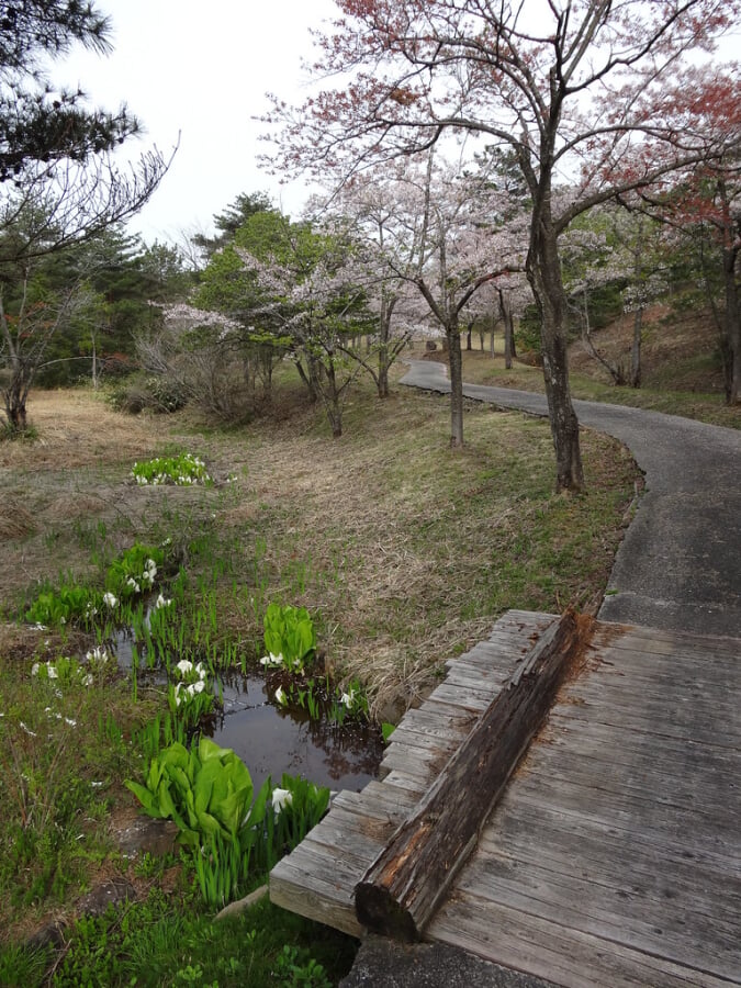 柳田植物公園の写真19
