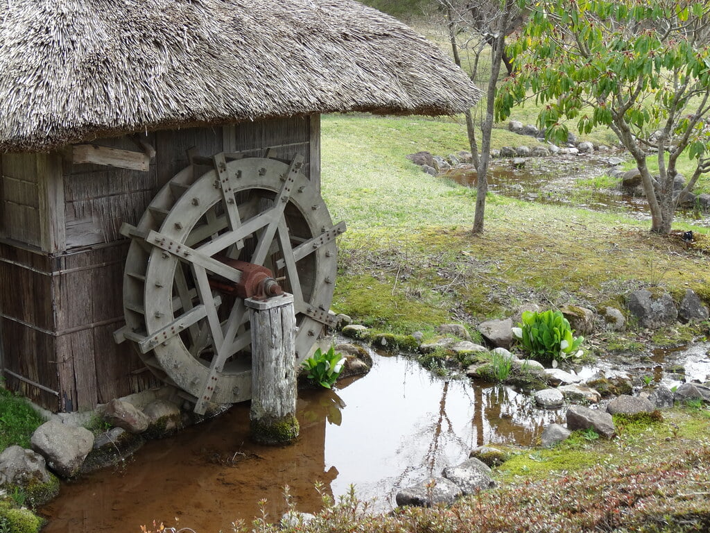 柳田植物公園の写真24