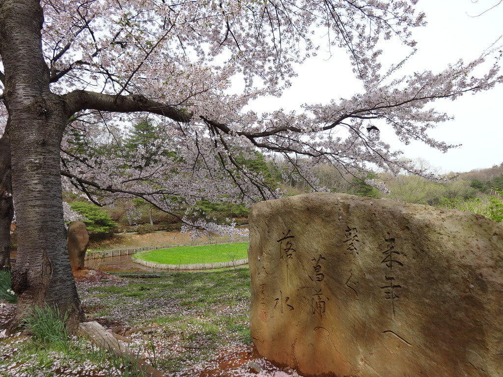 柳田植物公園の写真26