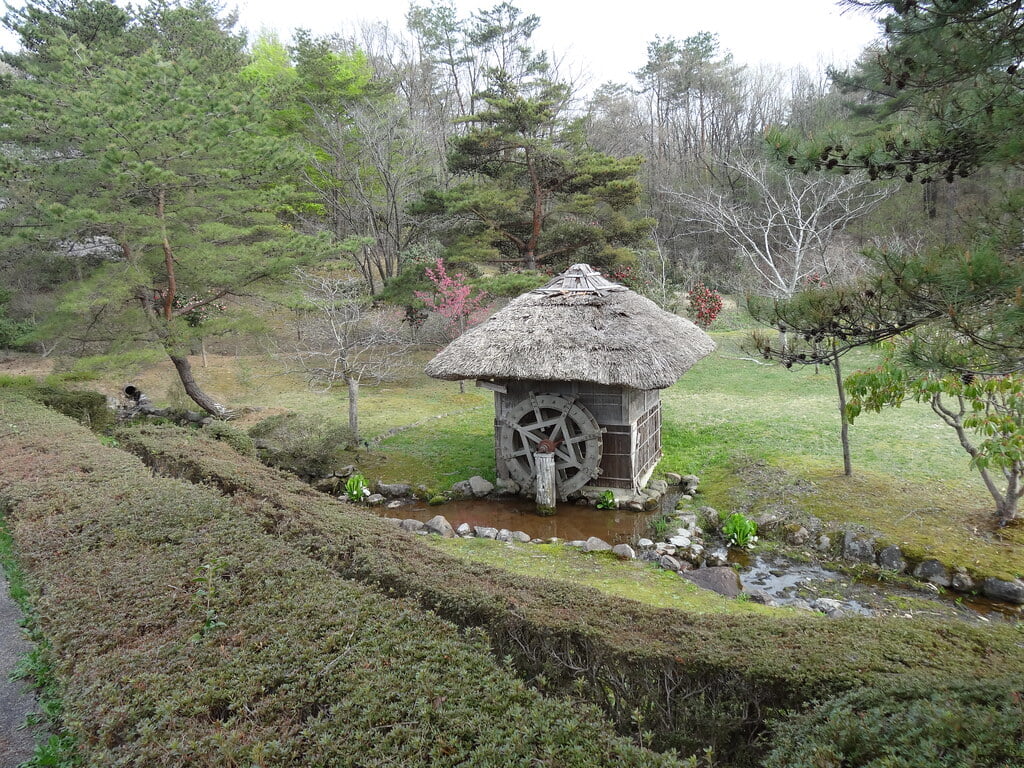 柳田植物公園の写真27