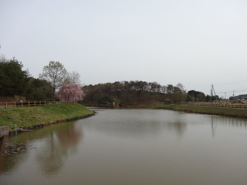 柳田植物公園の写真28