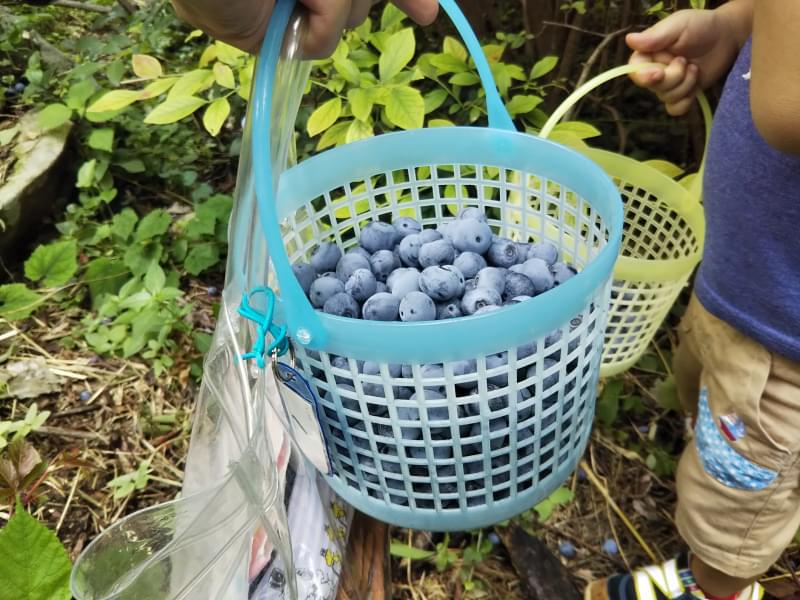 広石農園の写真4