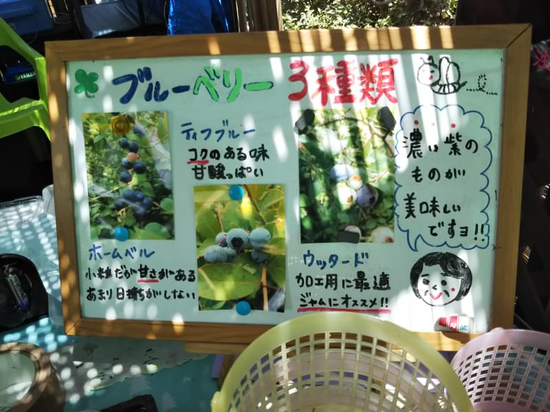 広石農園の写真6