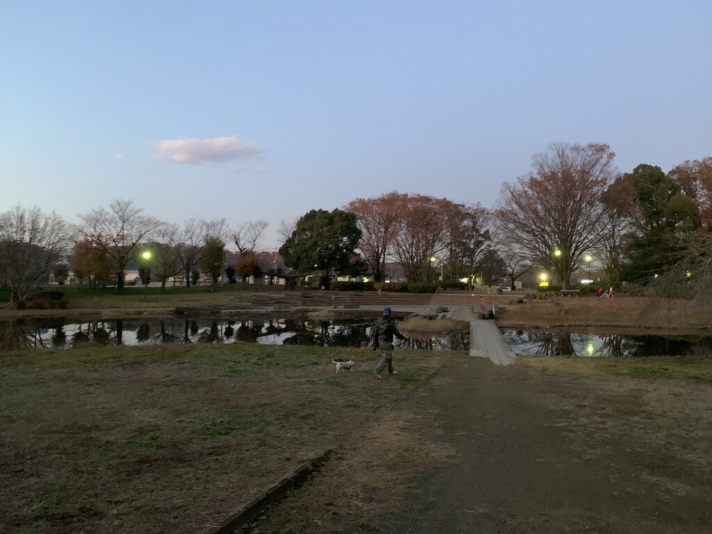 清瀬金山緑地公園の写真3