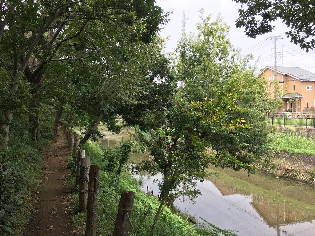 清瀬金山緑地公園の写真7