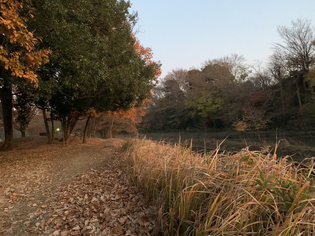 清瀬金山緑地公園の写真1
