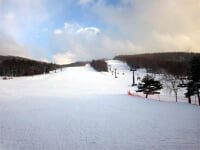 白樺高原国際スキー場