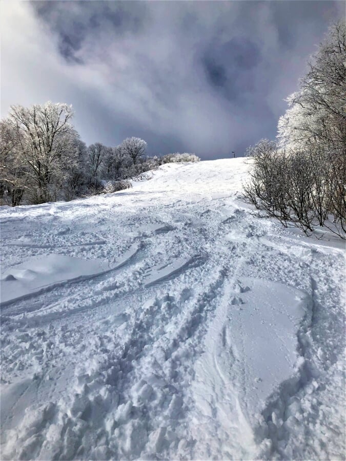 白馬コルチナスキー場の写真3