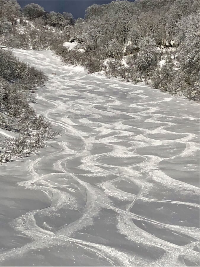 白馬コルチナスキー場の写真4