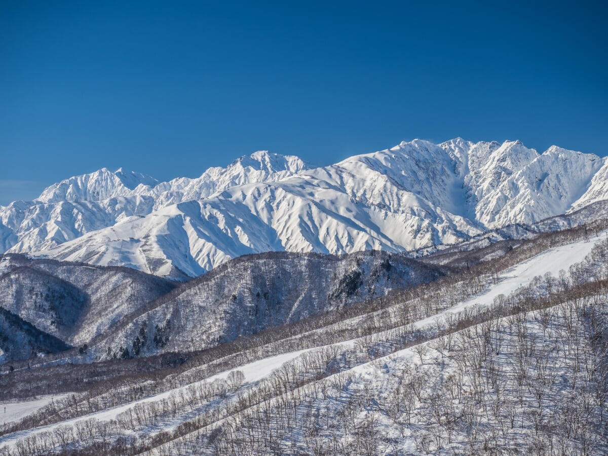 白馬乗鞍温泉スキー場の写真2
