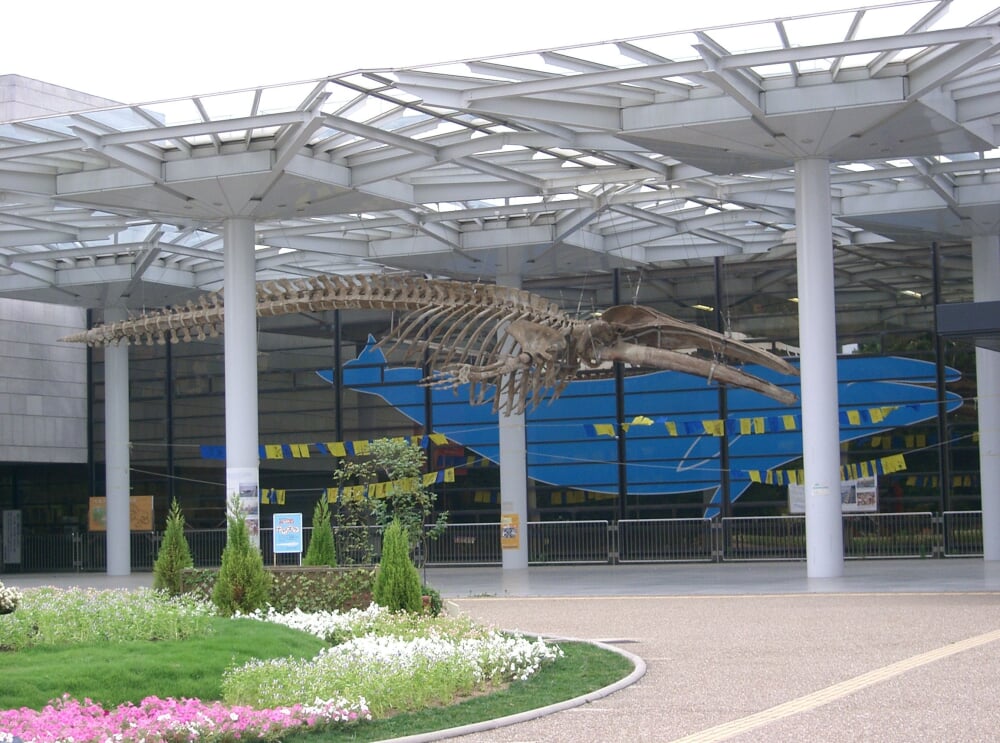 大阪市立自然史博物館の写真2