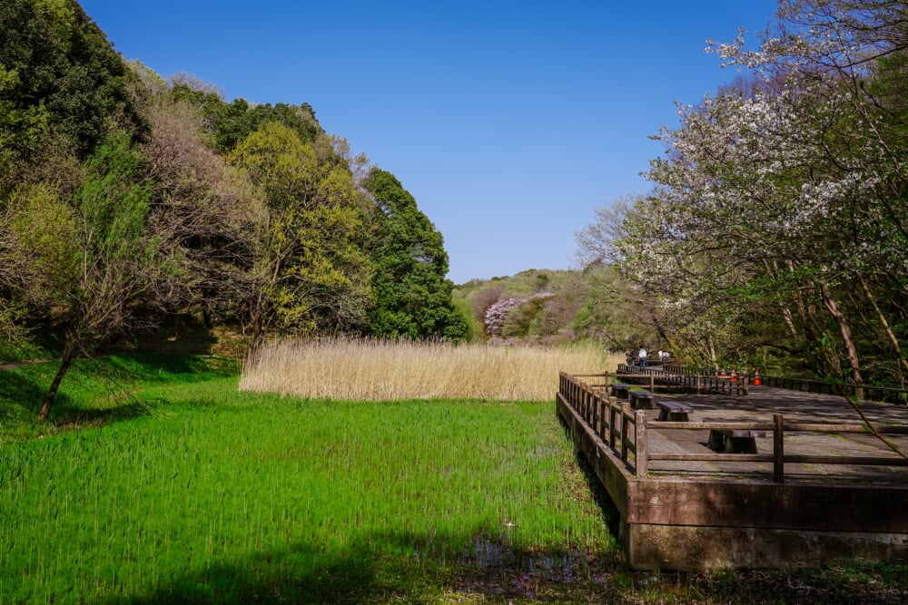 県立四季の森公園の写真2