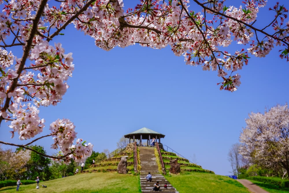 県立四季の森公園の写真3