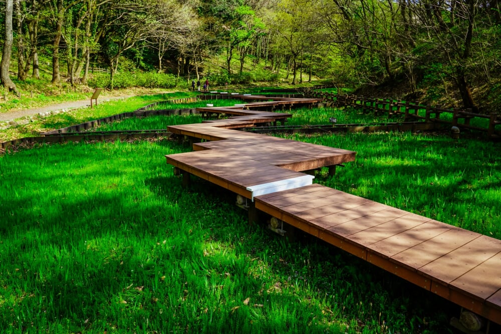 県立四季の森公園の写真4