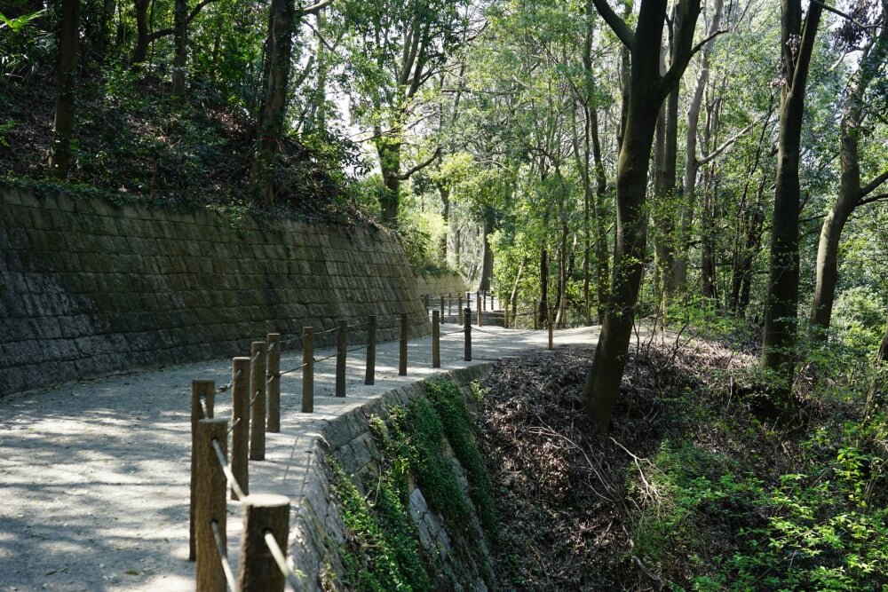 県立四季の森公園の写真7