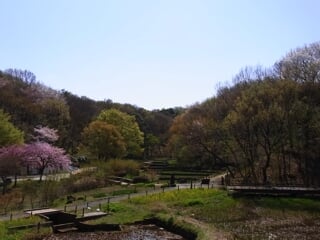 県立四季の森公園の写真9