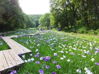 県立四季の森公園の写真10