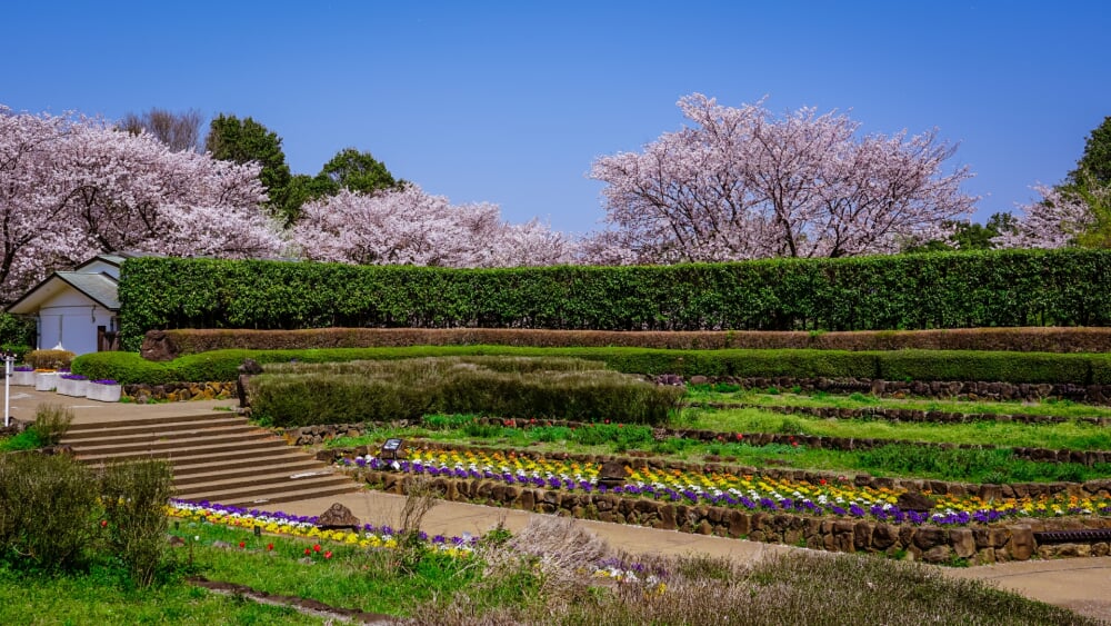 県立四季の森公園の写真12